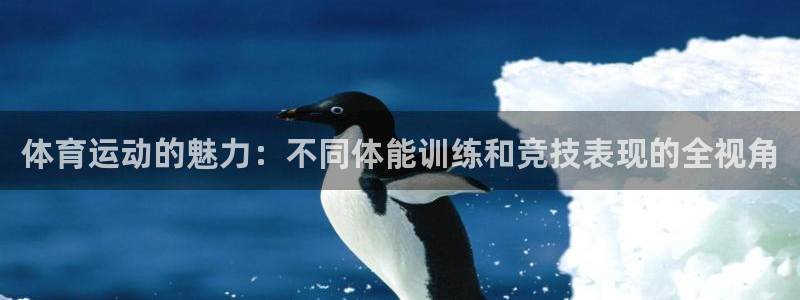 雷鸟体育APP下：体育运动的魅力：不同体能训练和竞技表现的全视角