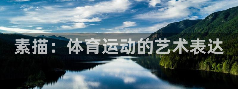 雷鸟体育免费直播软件下载：素描：体育运动的艺术表达