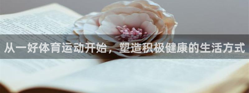 雷鸟体育app下载官网