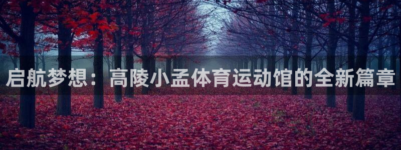 雷鸟体育官网入口