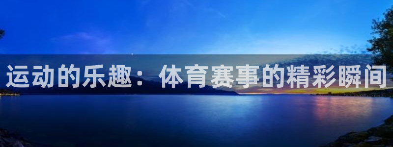 雷鸟体育正版下载官网