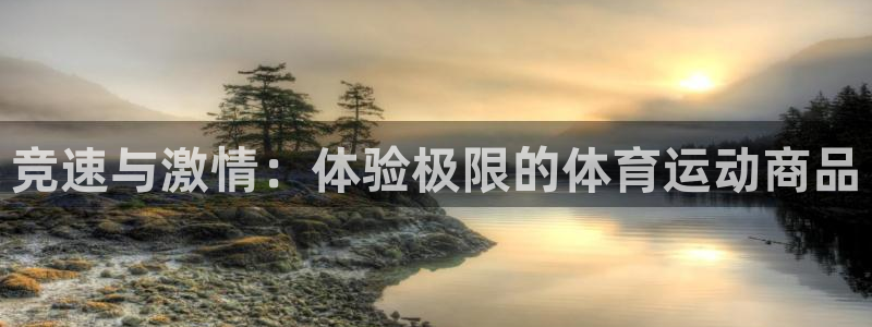 雷鸟体育app下载官网：竞速与激情：体验极限的体育运动商品