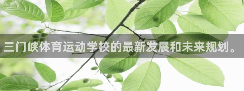 雷鸟体育苹果版下载