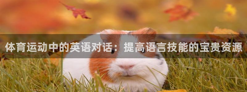 雷鸟体育官网入口