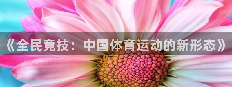 雷鸟体育官网入口：《全民竞技：中国体育运动的新形态》
